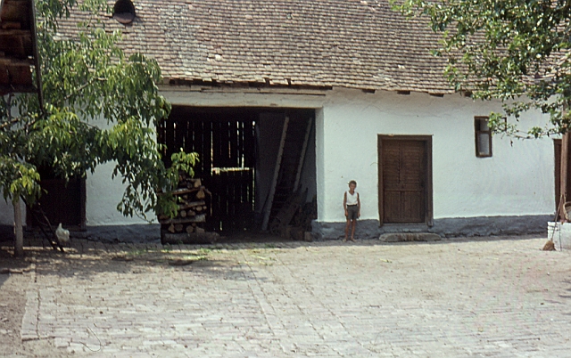 Junge im Hof.jpg
